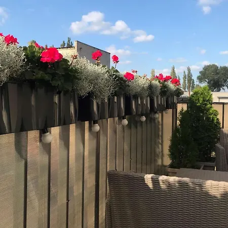 Family Maluno Vilos * Паланга